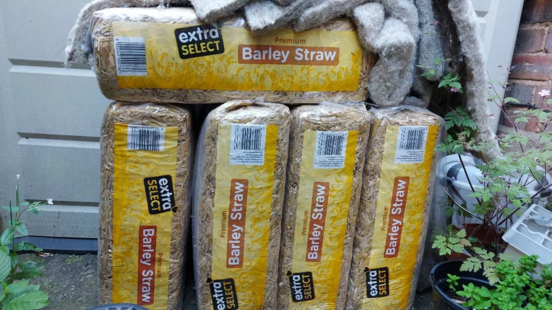barley Straw Bulk Substrate