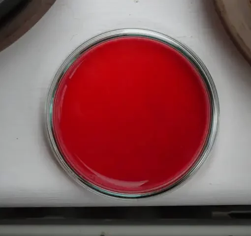 Red Agar Plate