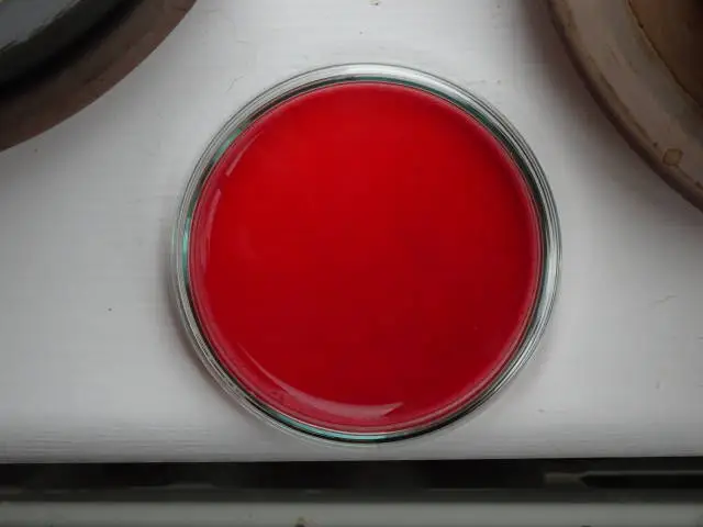 Red Agar Plate