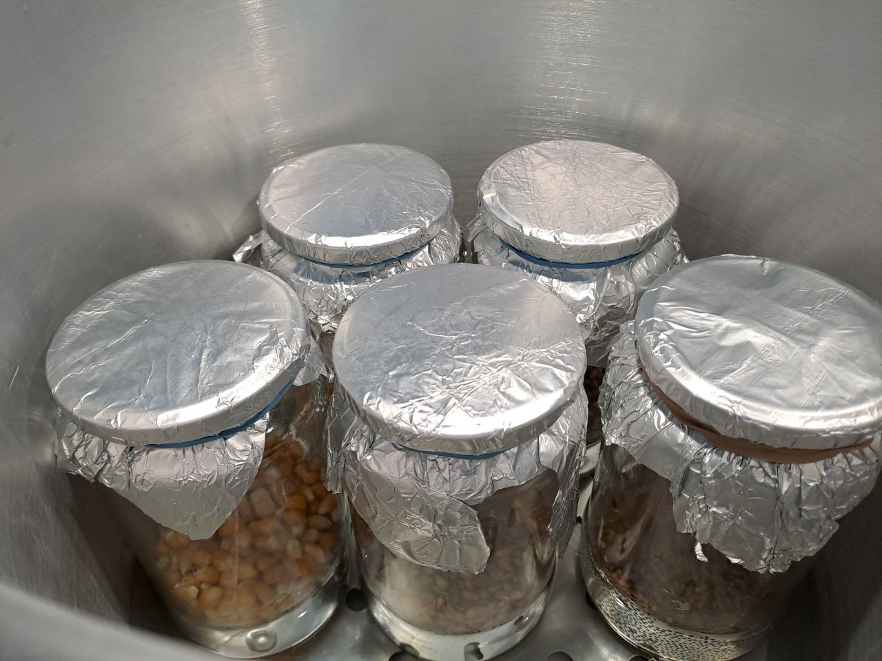 5 grain jars in pressure cooker