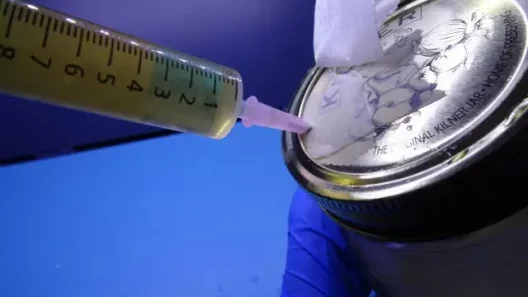 Injecting a liquid culture jar for mushrooms