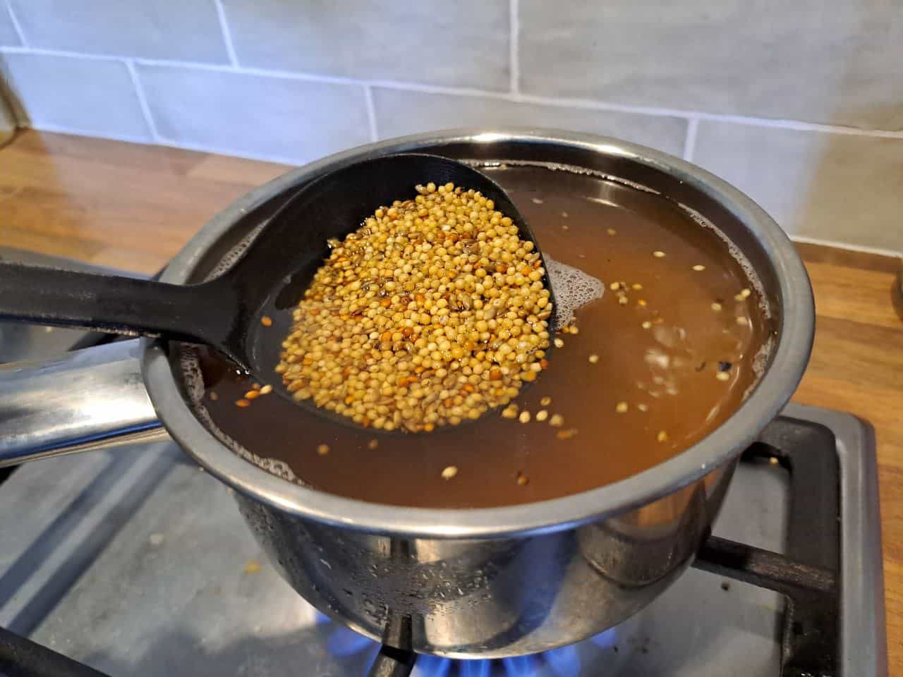 Millet Grain boiling for hydration of mushroom spawn