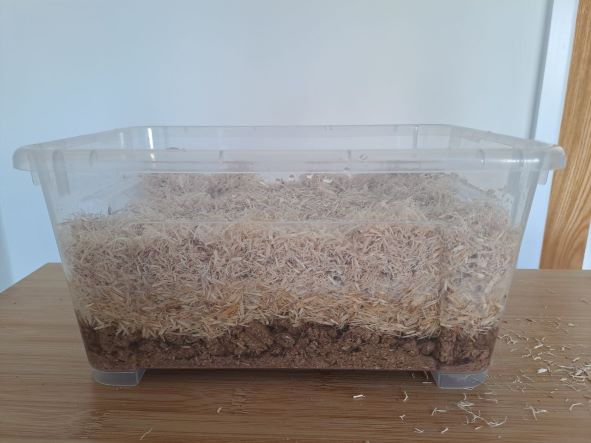 Container with bulk substrate.