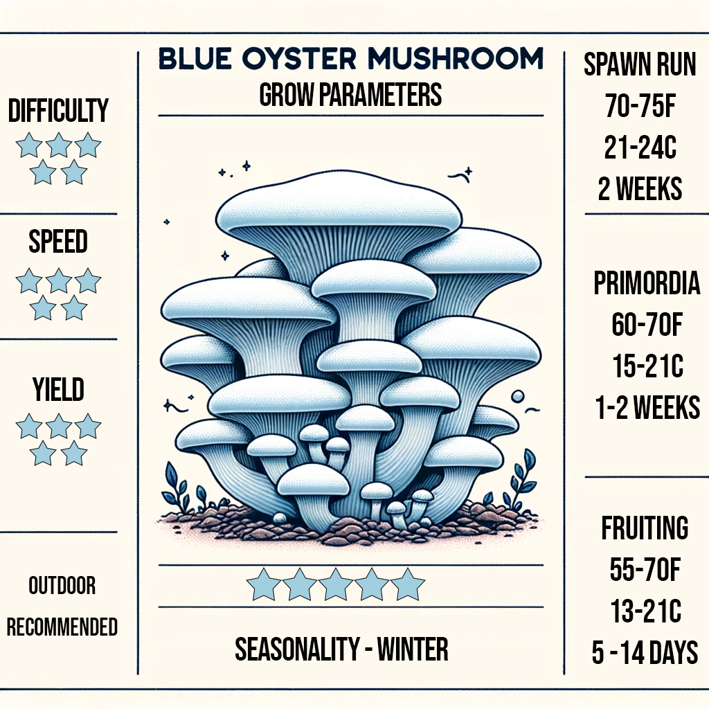 Blue Oyster Mushroom Grow Parameters Infographic